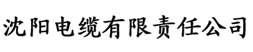 污污黄色视频电缆厂logo